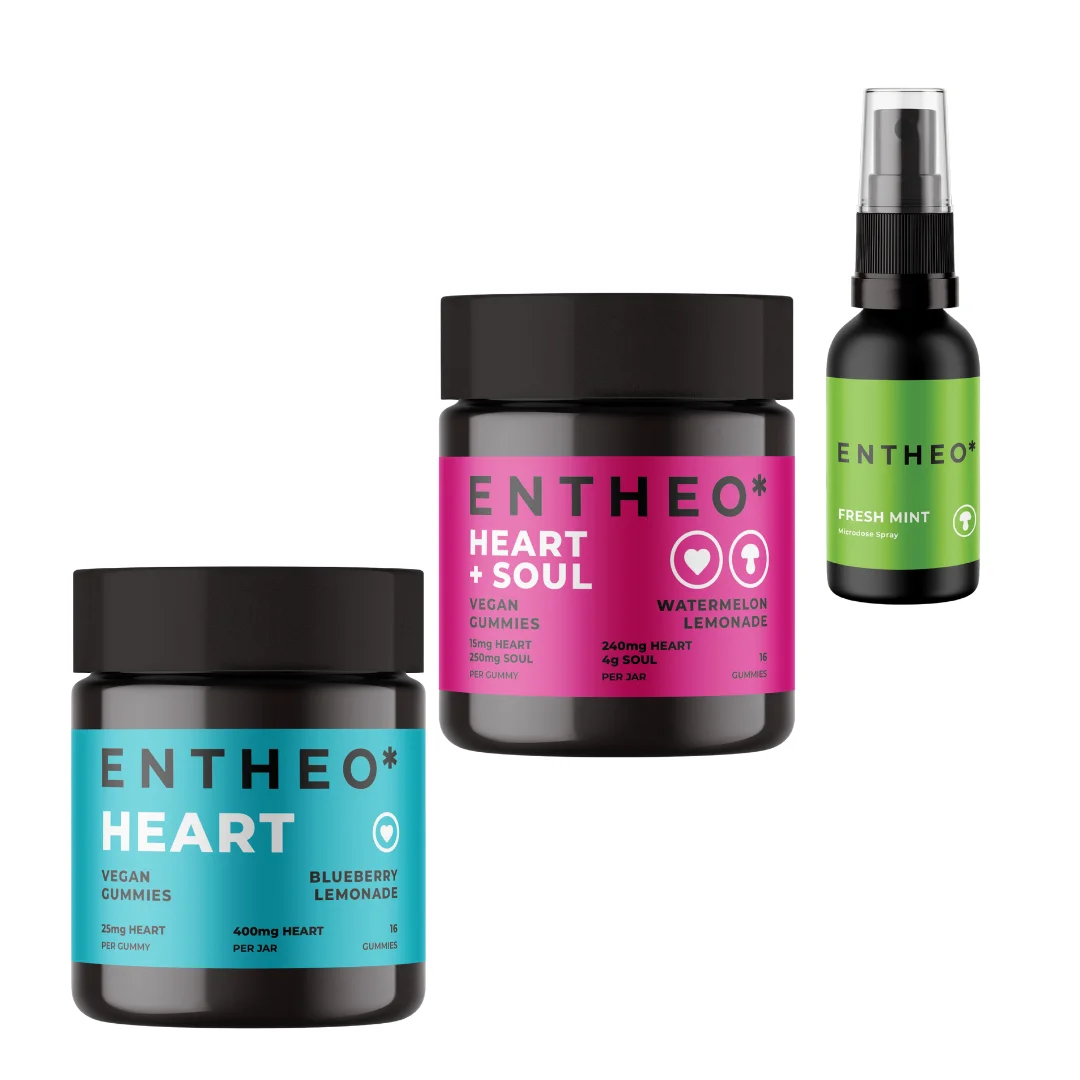 Home fan favorites bundle